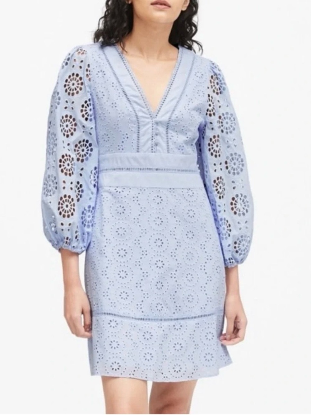 Banana Republic Light Blue Eyelet V-Neck Puff Sleeve Mini Dress Size 10P petite